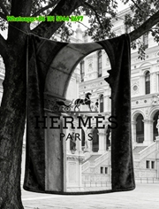 Hermès Black & White Horse Carriage Flannel Fleece Throw Blanket IMG_4992